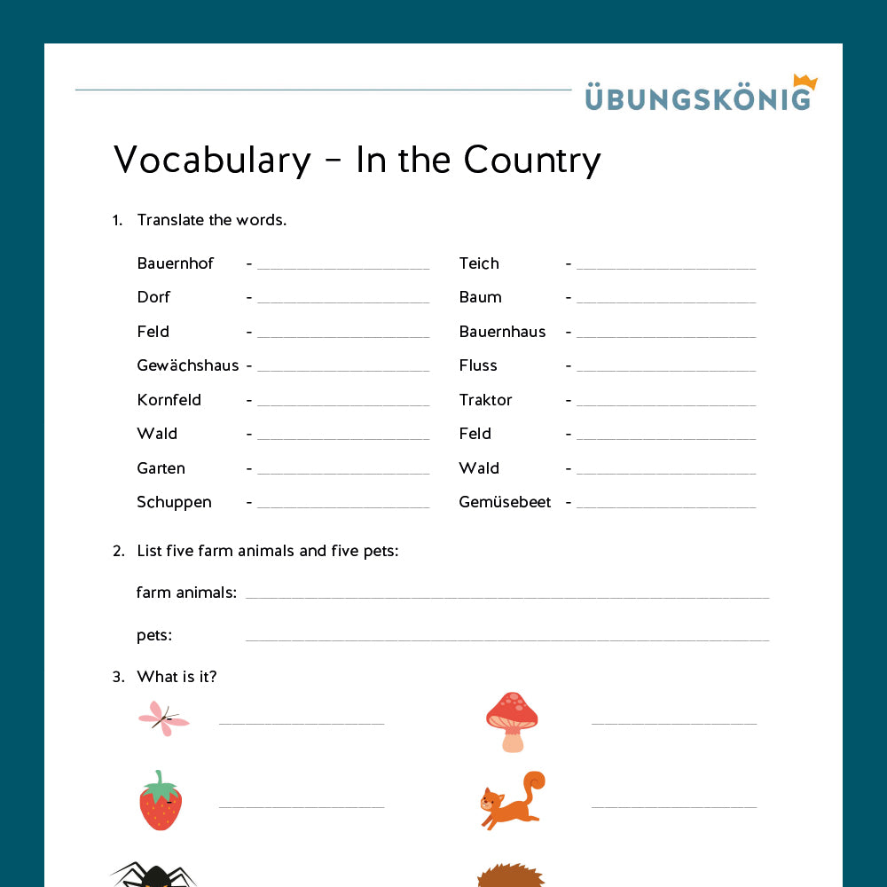 Königspaket: Vocabulary / Vokabelübungen (Englisch, 6. Klasse)