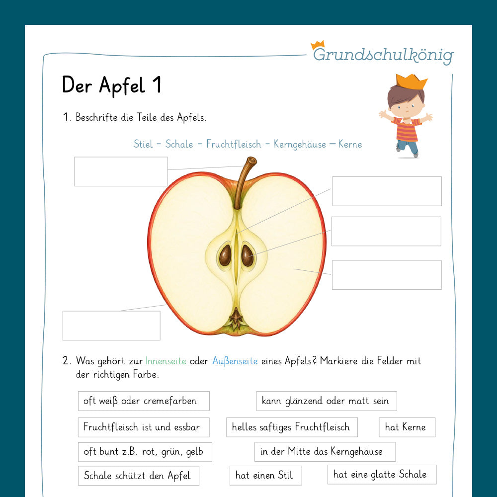 Königspaket: Der Apfel (Sachkunde 3.& 4. Klasse)