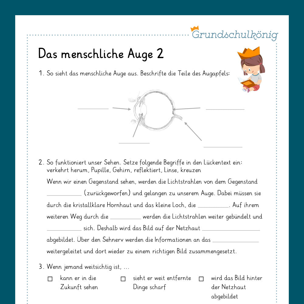 Königspaket: Das Auge (Sachunterricht) - inklusive Test
