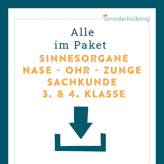 King's Package: Sense Organs, Nose - Ear - Tongue (General Knowledge, Grades 3-4)