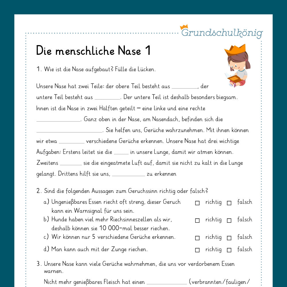 Königspaket: Sinnesorgane, Nase - Ohr - Zunge (Sachkunde, 3. - 4. Klasse)