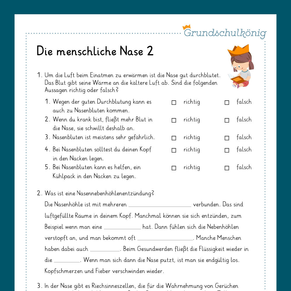 Königspaket: Sinnesorgane, Nase - Ohr - Zunge (Sachkunde, 3. - 4. Klasse)