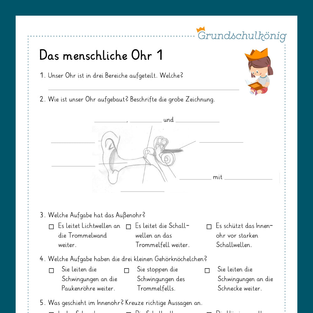 Königspaket: Sinnesorgane, Nase - Ohr - Zunge (Sachkunde, 3. - 4. Klasse)