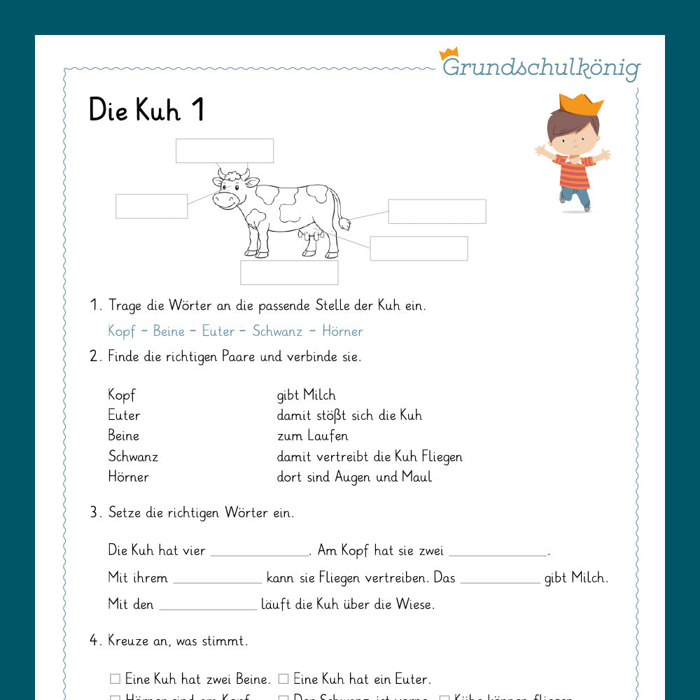 Königspaket: Die Kuh (Sachunterricht)