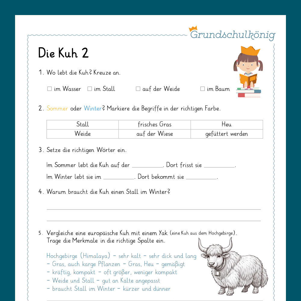 Königspaket: Die Kuh (Sachunterricht)