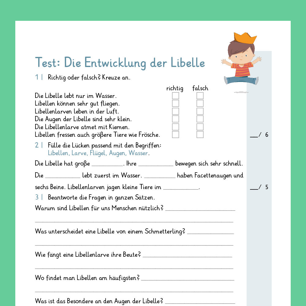 Königspaket: Die Entwicklung der Libelle (Sachkunde) - inklusive Test