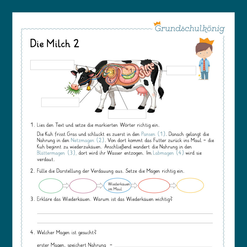Königspaket: Ernährung - Milch (Sachunterricht)
