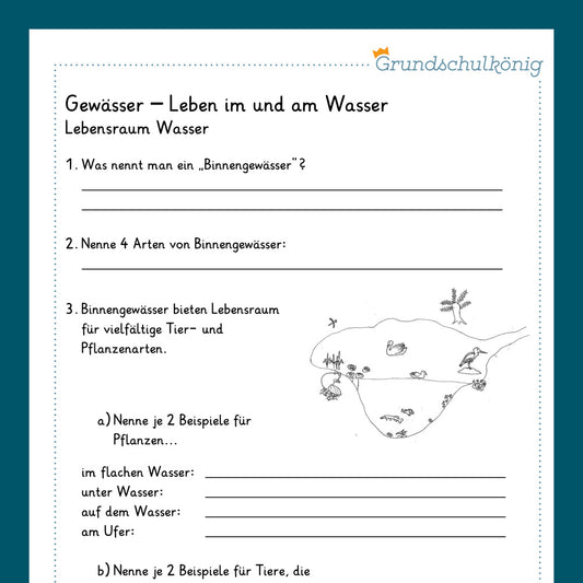 Königspaket: Gewässer (Sachkunde)