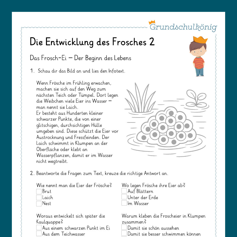 Königspaket: Der Frosch (Sachunterricht)