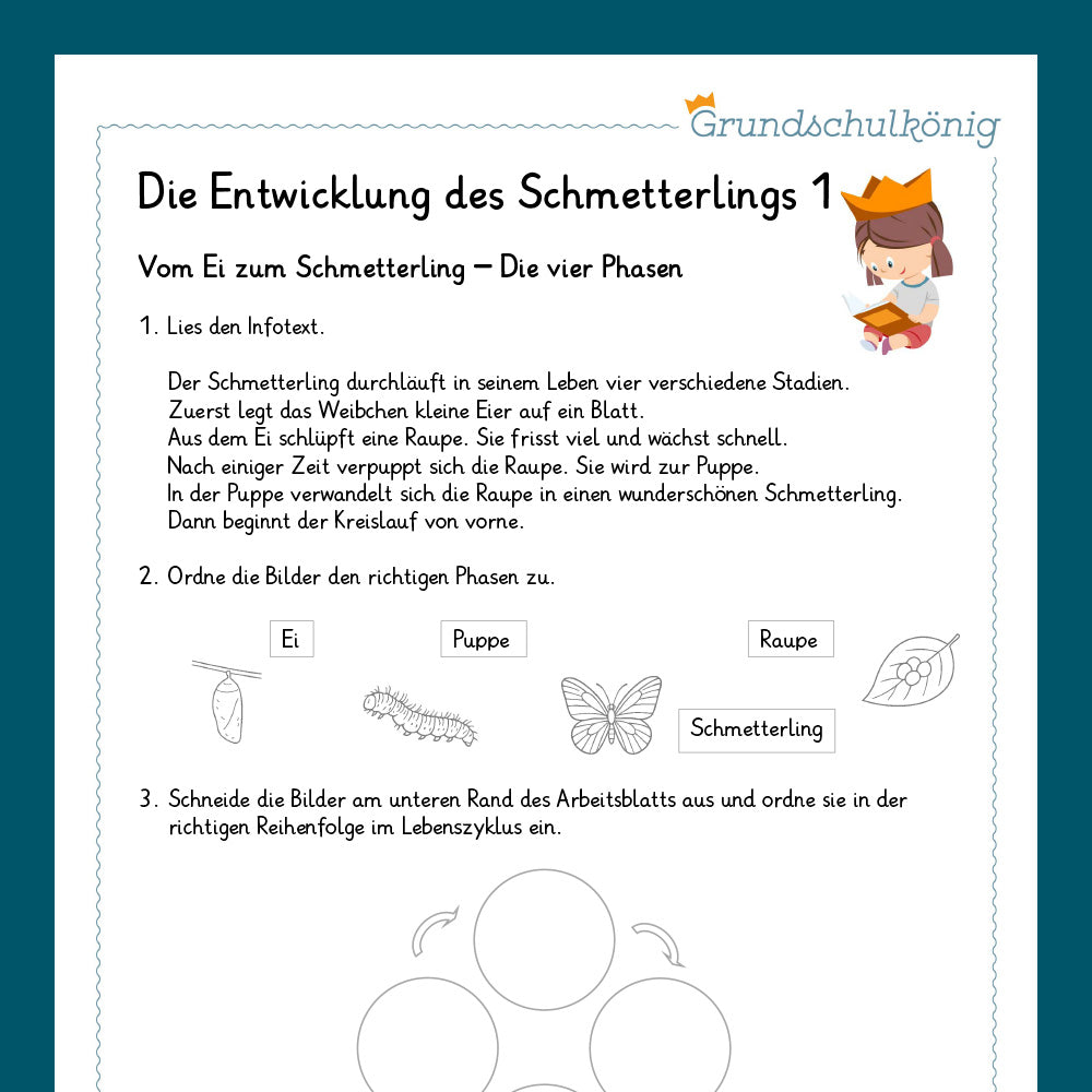 Königspaket: Der Schmetterling (Sachunterricht)