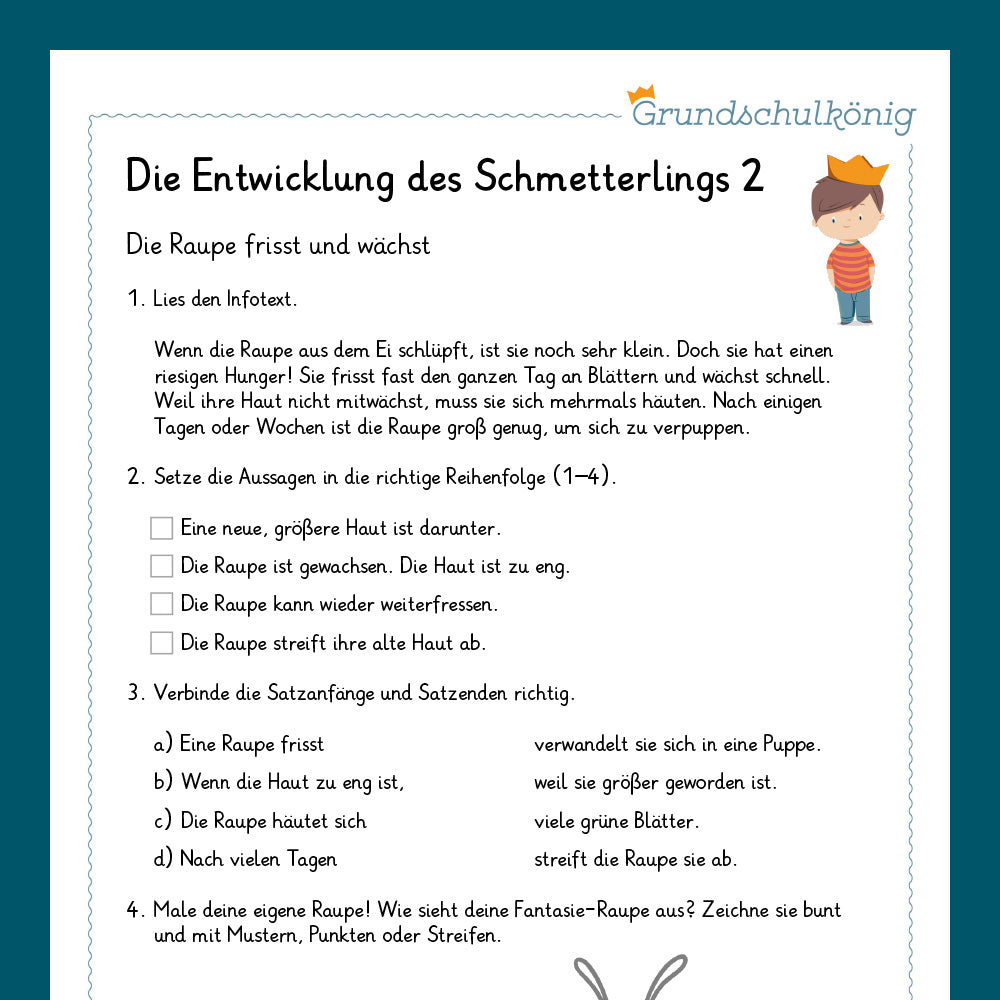 Königspaket: Der Schmetterling (Sachunterricht)