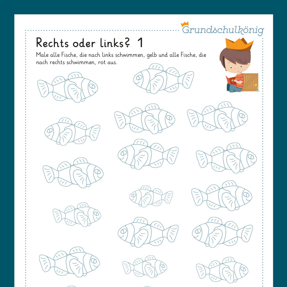 Königspaket: Rechts oder links? Fische (Vorschule)