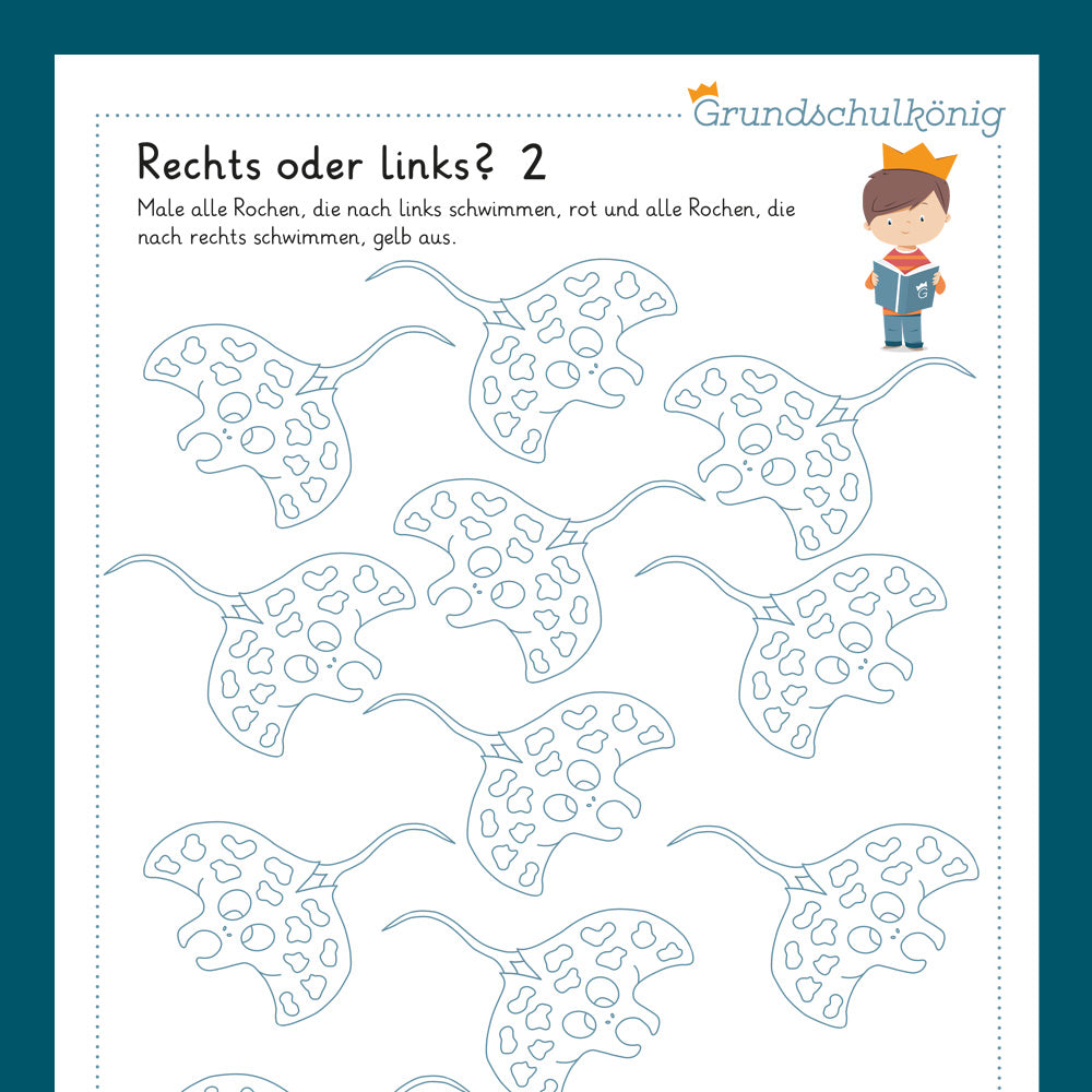 Königspaket: Rechts oder links? Fische (Vorschule)